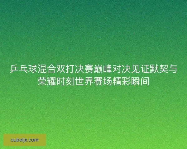 乒乓球混合双打决赛巅峰对决见证默契与荣耀时刻世界赛场精彩瞬间